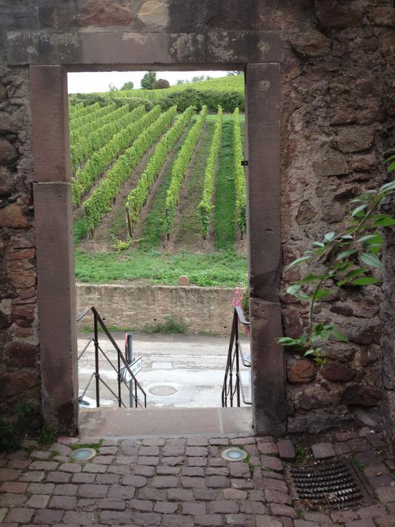 Gite Chez Marcel Riquewihr Rom bilde